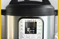 Instant Pot Duo 6 Quart: Everything You Need to Know