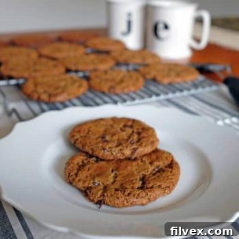 Close-up of freshly baked Paleo Chocolate Chip Cookies