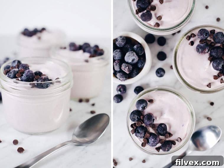 Delicious and easy Paleo Berry Mousse, a dairy-free dessert with no added sugar, topped with fresh blueberries.