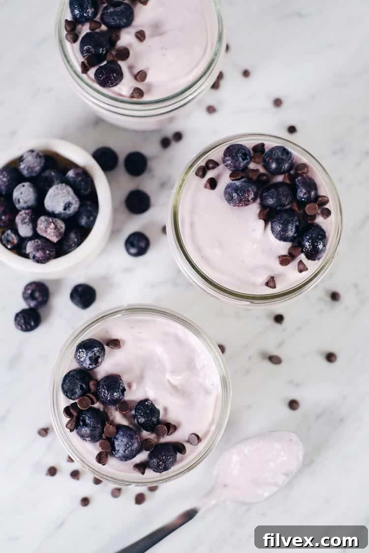 Paleo Berry Mousse served in a glass bowl, garnished with fresh blueberries and dairy-free chocolate chips.