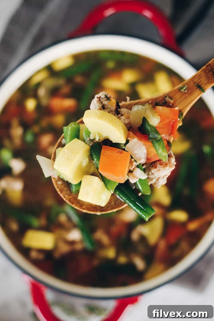 Freshly harvested summer vegetables including ripe tomatoes, zucchini, green beans, and onions, ready for making healthy soup.