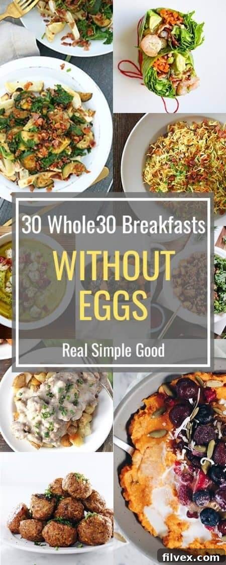 A vibrant collage of various egg-free Whole30 breakfast options including savory hashes, breakfast bowls, and meatballs, promising variety and deliciousness.