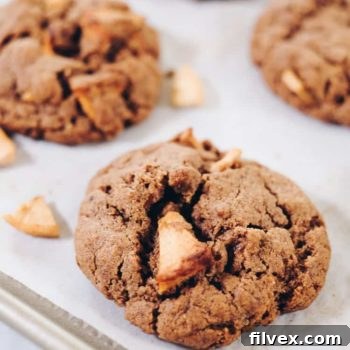 Close-up of a delicious Paleo Apple Cinnamon Cookie. Gluten-free, dairy-free, and refined sugar-free.