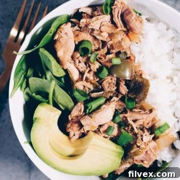 Instant Pot Southwest Chicken and Rice Recipe