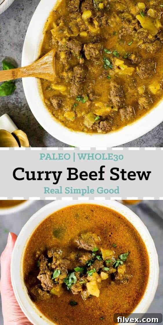 Overhead shot of a bowl of curry beef stew with a spoon, ready to be enjoyed.