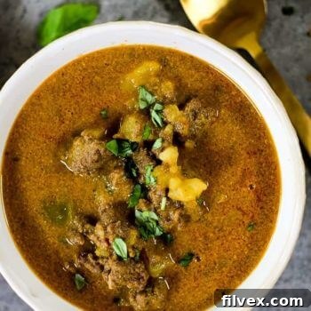 Close up overhead image of stew in a bowl with chopped cilantro on top.