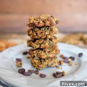 Delicious Paleo Pumpkin Granola Cookies recipe image
