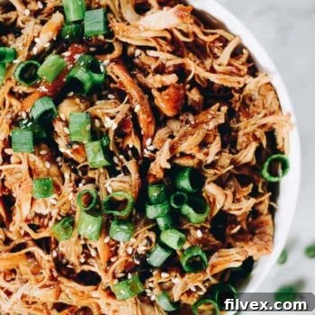 Delicious Slow Cooker Teriyaki Chicken ready to be served