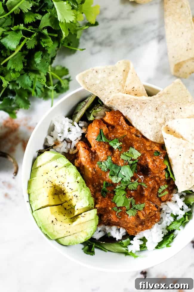 Chicken mole recipe in a bowl with greens, rice, avocado and grain free tortilla chips. Topped with chopped cilantro. 