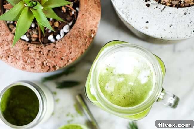 Iced matcha latte in a mason jar mug with succulents. 