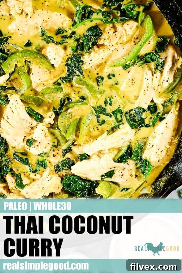 Close up shot of Thai coconut curry in cast iron skillet for long pin. 