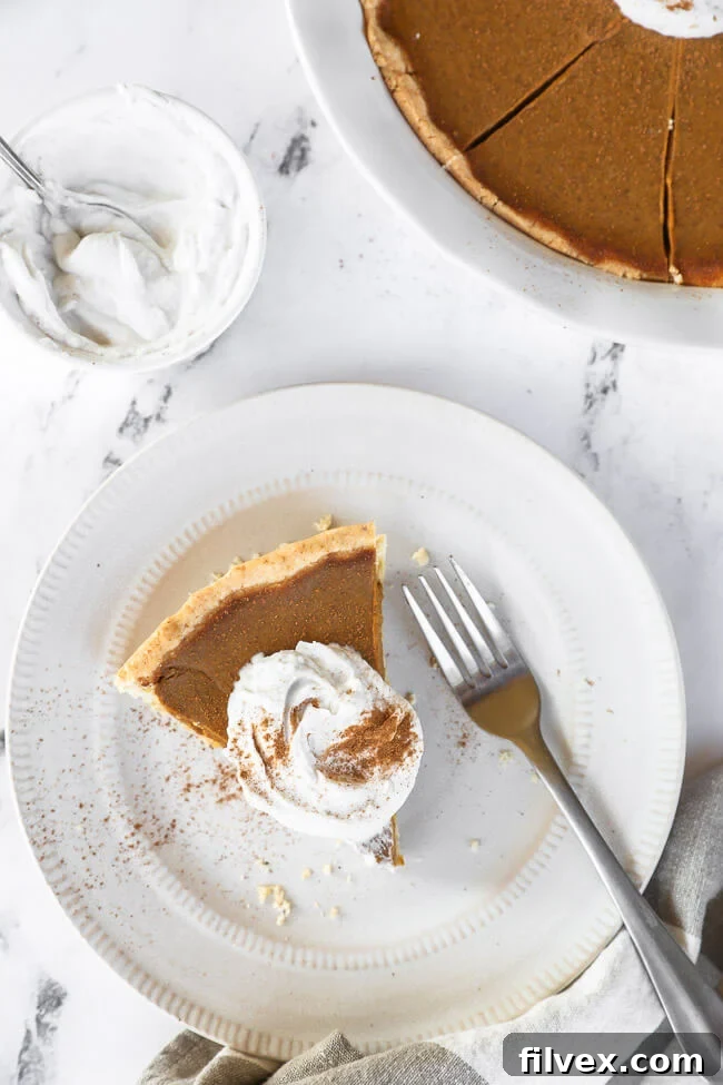 A close-up view of a single, delectable slice of dairy-free and gluten-free pumpkin pie, resting on a plate, with a fork ready to enjoy. It's elegantly topped with a swirl of whipped coconut cream and a dusting of cinnamon, highlighting its inviting texture.
