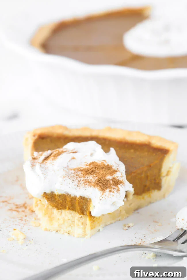 An appealing angled shot of a single slice of dairy-free and gluten-free pumpkin pie, generously topped with whipped coconut cream and a sprinkle of cinnamon. A perfect bite has been taken, revealing its creamy texture.