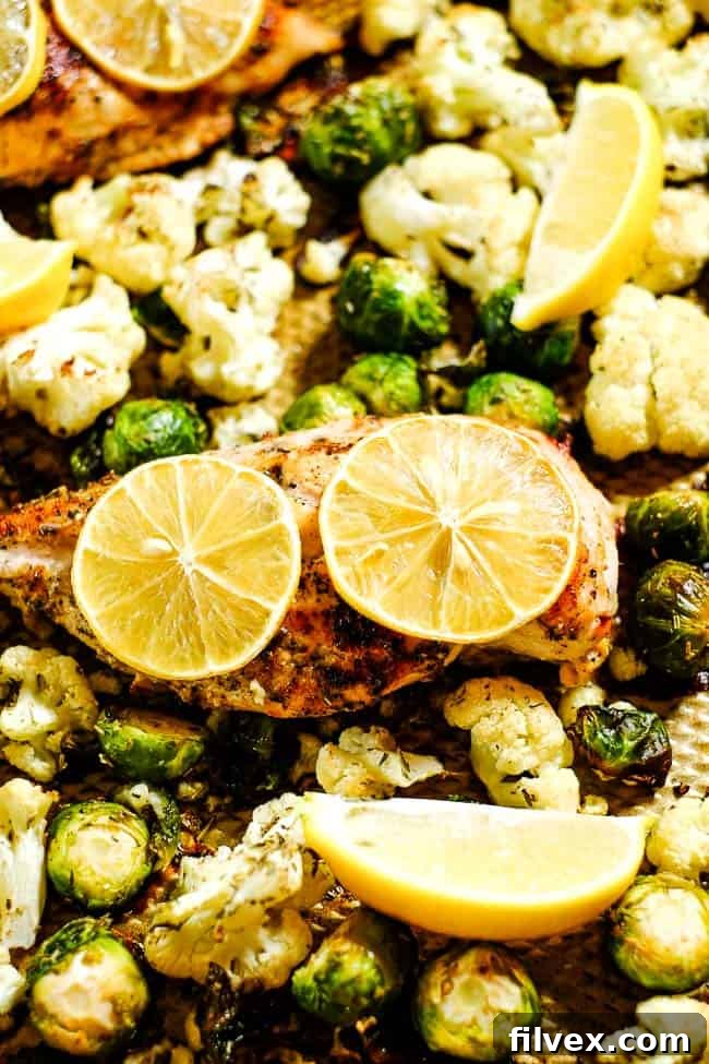 Close up angled shot of easy lemon chicken and roasted brussels sprouts and cauliflower on a sheet pan with lemon slices. 