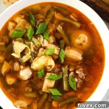 Overhead image of hamburger soup in a bowl with potatoes, mushrooms and chopped green onions
