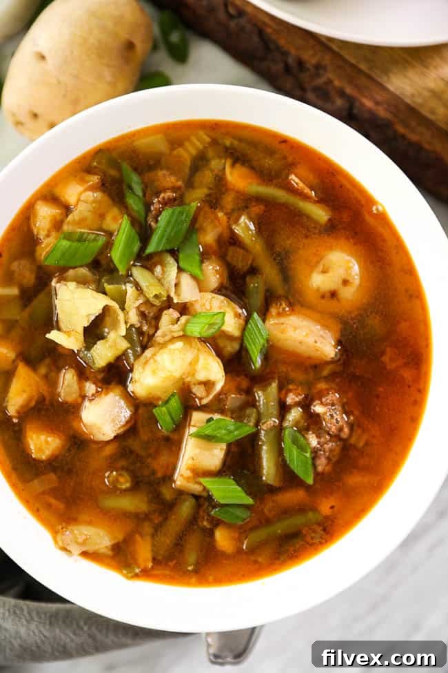 A close-up, overhead shot of a single bowl of Paleo and Whole30 Hamburger Soup, highlighting its robust ingredients and appetizing presentation.