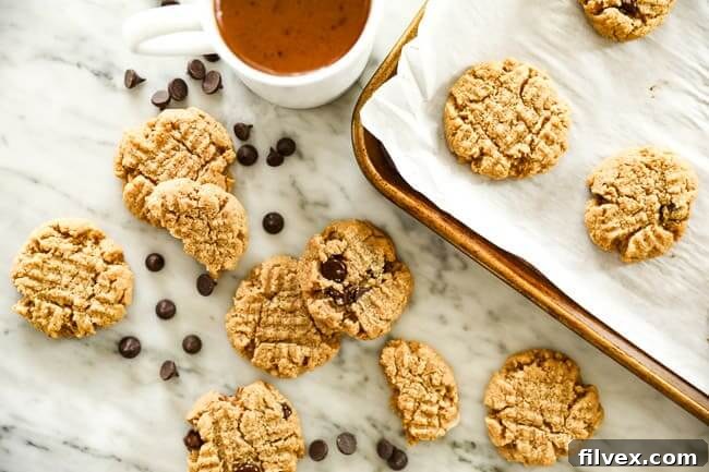 Low carb cookies spread out on marble and cookie sheet with chocolate chips sprinkled about. 