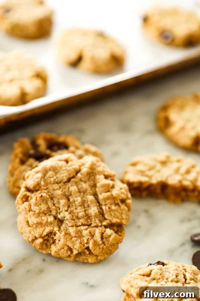 Close up of sugar-free peanut butter, keto cookie. 