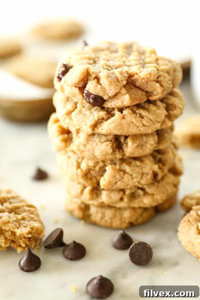 Stack of 6 keto cookies. 