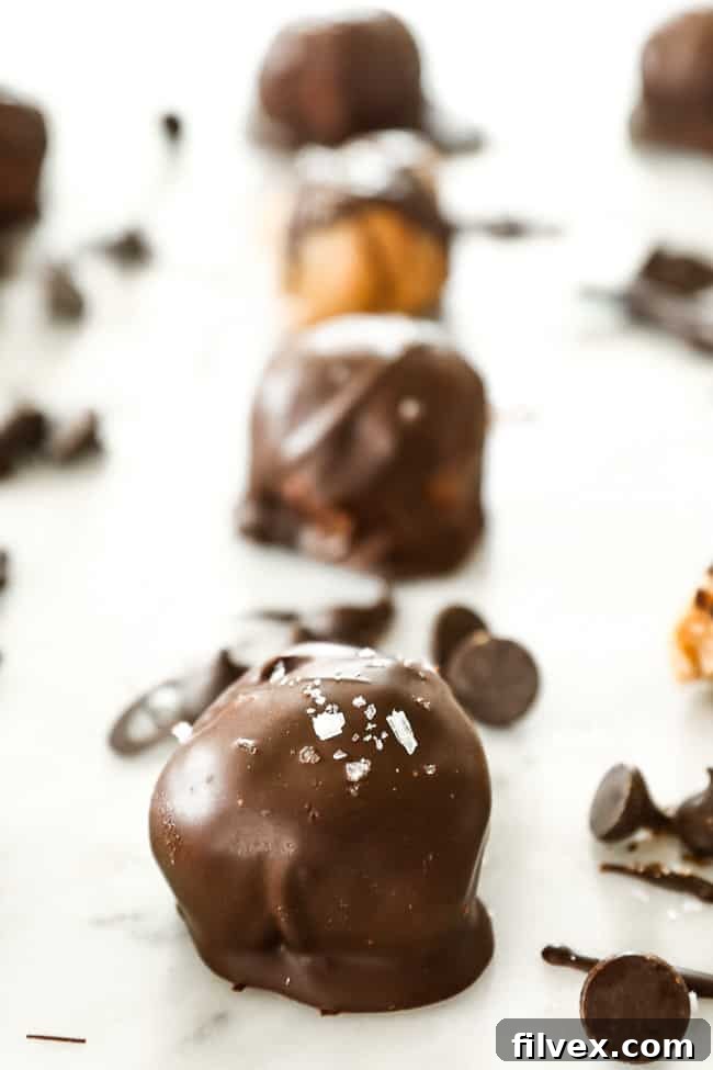 A close-up shot of a single, delectable chocolate-coated peanut butter ball, adorned with a sprinkle of flaky sea salt, highlighting its rich texture and tempting appearance. This healthy, no-bake treat is a true indulgence.