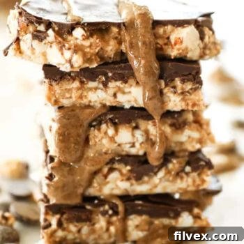 Appetizing image of No Bake Peanut Butter Bars, showcasing their rich texture and delicious chocolate topping, ready to be enjoyed.