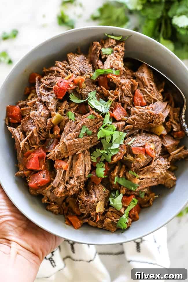 Mexican shredded beef in bowl topped with chopped cilantro. Overhead close up shot