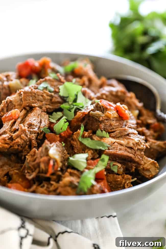 Mexican shredded beef in bowl topped with chopped cilantro. Angle close up shot