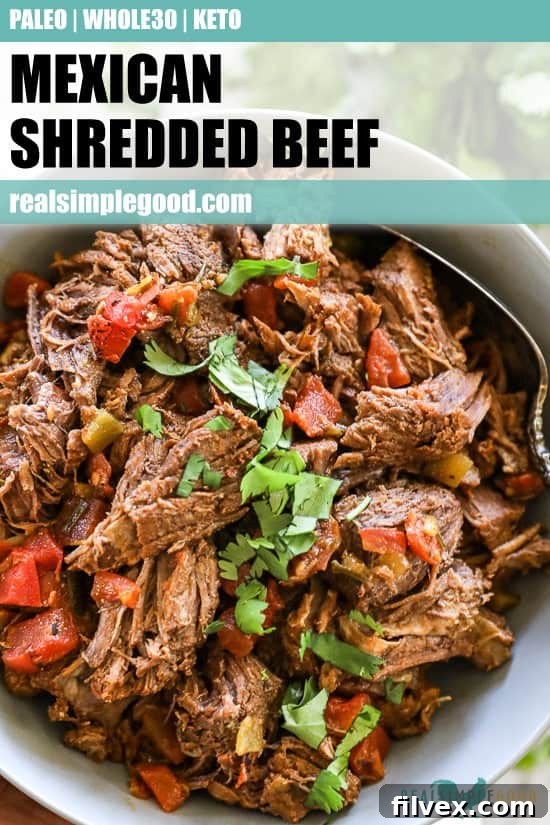Mexican shredded beef in bowl topped with chopped cilantro. Text on top