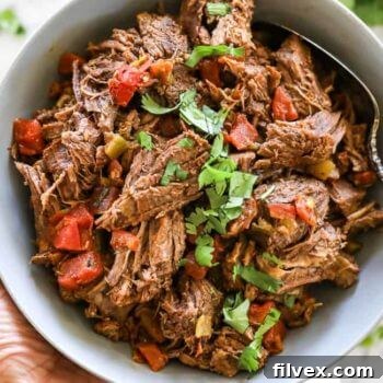 Mexican shredded beef
