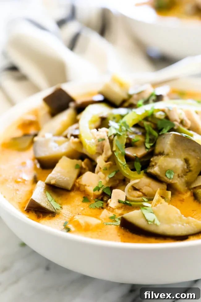 Close-up view of a bowl of chicken coconut curry soup, showcasing tender chicken pieces, colorful vegetables, and rich broth.