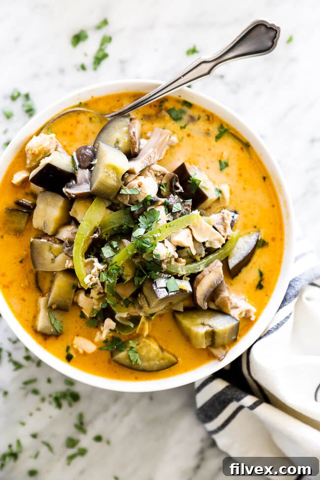 Overhead shot of a bowl of chicken coconut curry soup, garnished with fresh cilantro and a spoon ready for tasting.
