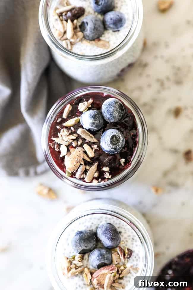 Paleo chia seed pudding overhead vertical shot of jars in line with blueberry at top