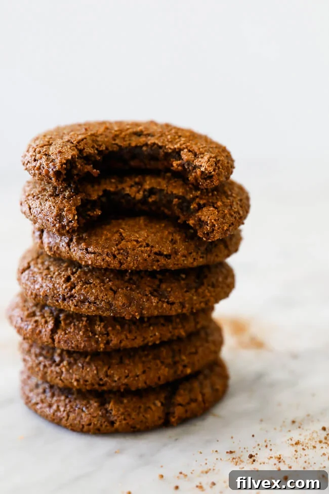 Straight on vertical image of stack of ginger molasses cookies with top two cookies having a bite taken. 