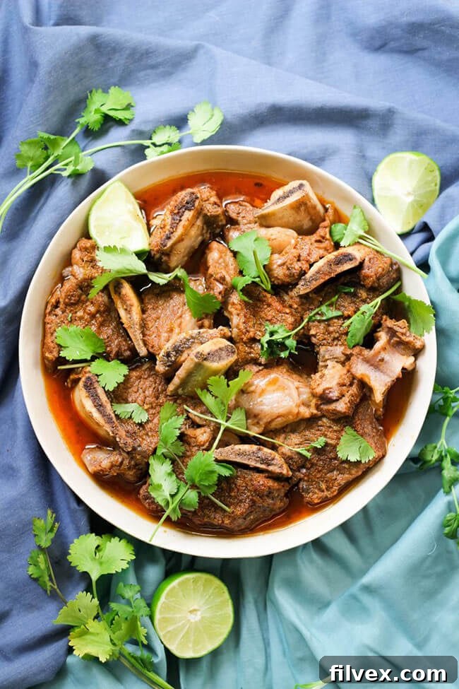 Chili lime Instant Pot short ribs in a bowl with cilantro topping, viewed from overhead.