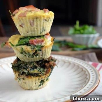 Paleo Egg Muffins (Whole30 + Keto)