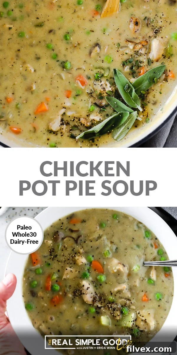Chicken Pot Pie Soup promotional image
