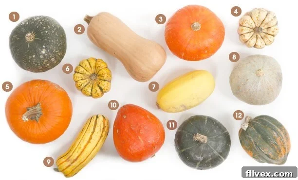 Visual guide to various winter squashes, highlighting Delicata squash