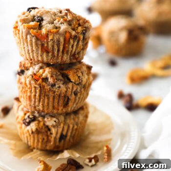 Morning Glory Breakfast Muffins (Paleo, Vegan + Nut-Free option)