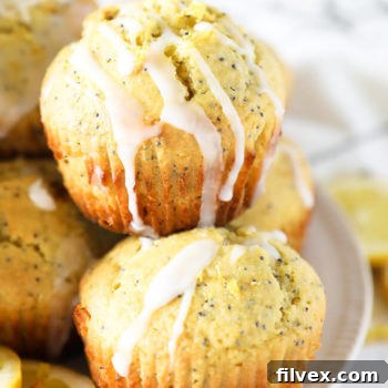 Gluten Free Lemon Poppy Seed Muffins