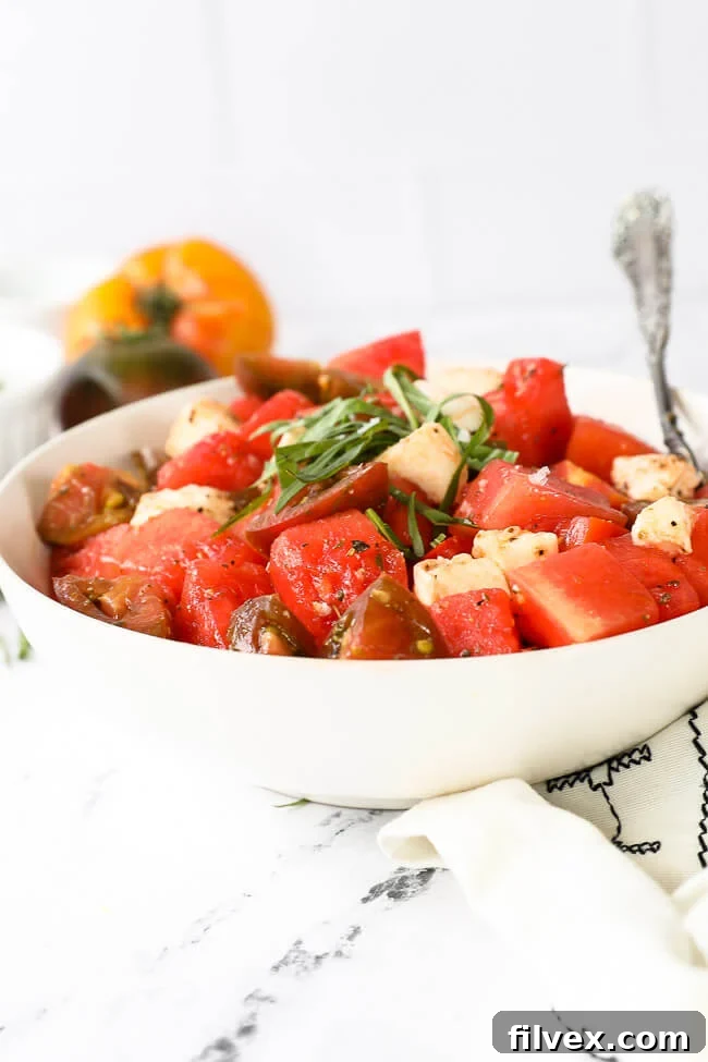 Straight on image of tomato watermelon salad in a bowl with a serving spoon. Fresh basil on top. 