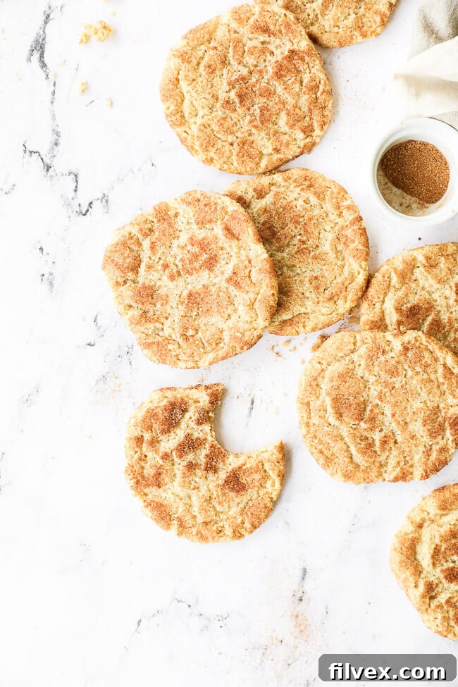 Vertical overhead image of homemade snickerdoodles laid out on marble. One cookie has a bite taken out of it. 
