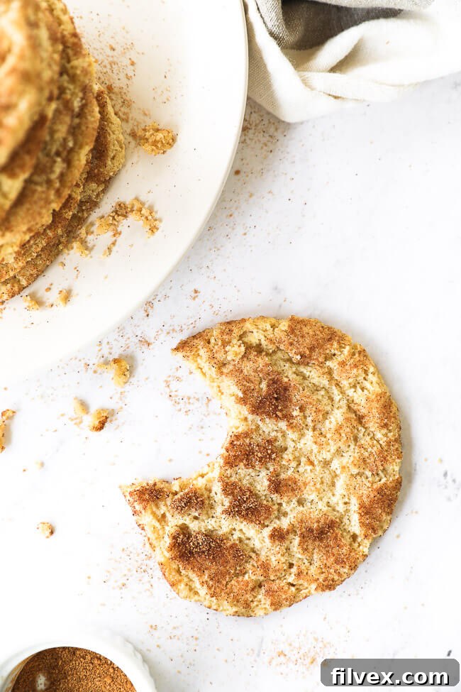 Overhead vertical image of one snickerdoodle cookie with a bit taken out of it. 