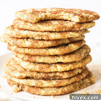 Gluten Free Snickerdoodles