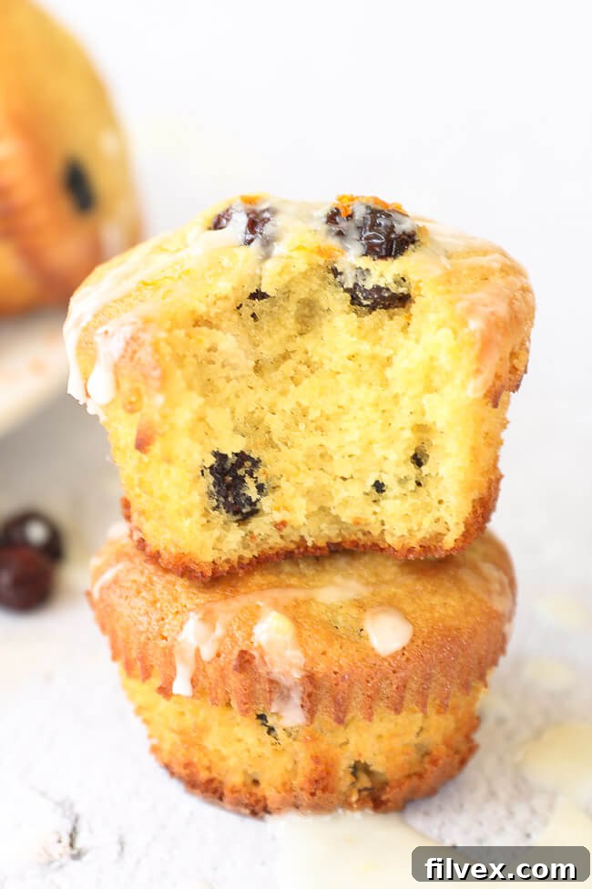 Detailed close-up of two gluten-free orange cranberry muffins, one with a bite revealing the tender texture and embedded cranberries.