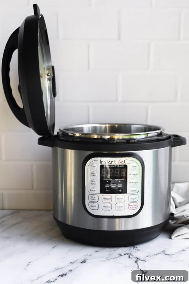 Straight-on image of an Instant Pot Duo with its lid cleverly placed sideways in the built-in lid holder, showcasing a smart design feature.