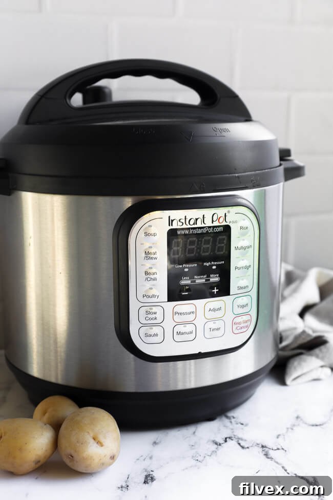 Close-up image of the Instant Pot Duo 6 Quart's control panel, highlighting the various function buttons and digital display.