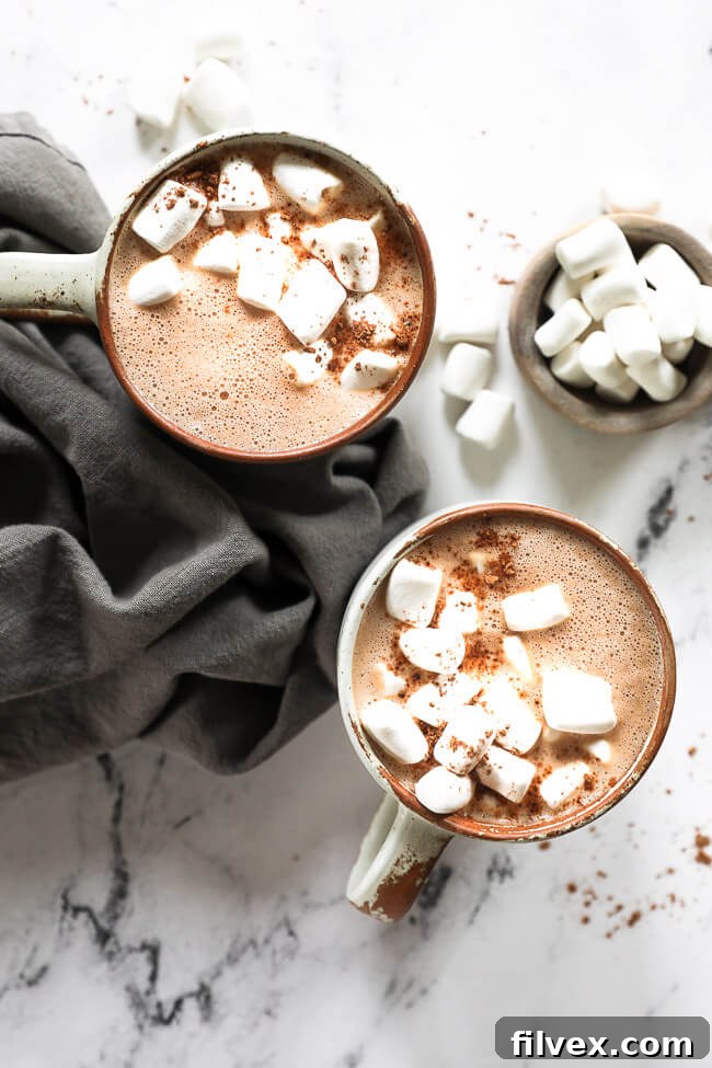 Overhead image of two mugs of vegan hot chocolate with marshmallows and cacao powder sprinkled on top. 