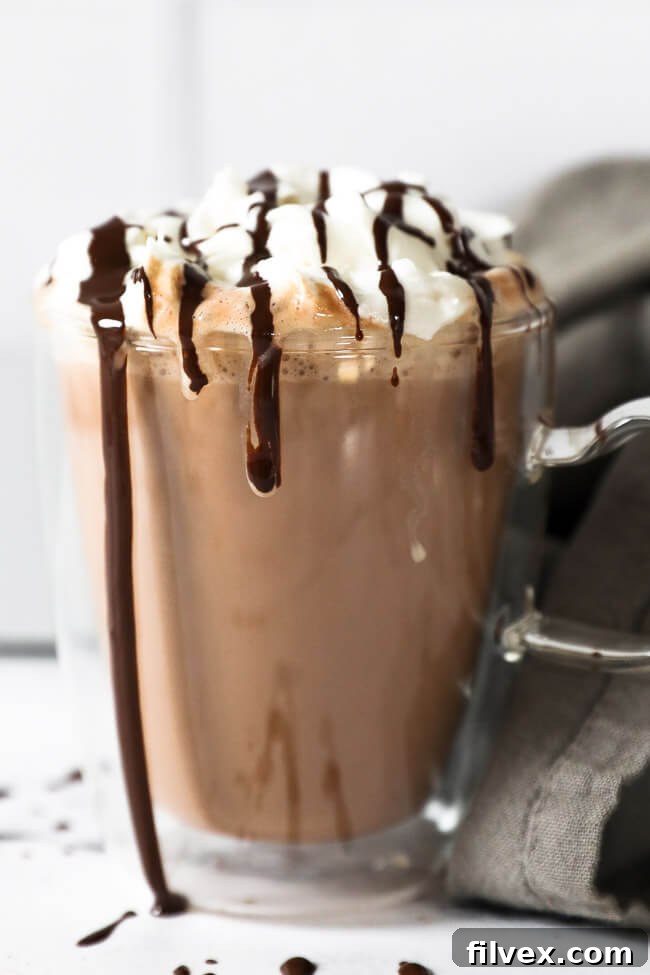 Straight on image of dairy free hot chocolate in a mug, topped with vegan whipped coconut cream and chocolate syrup. 