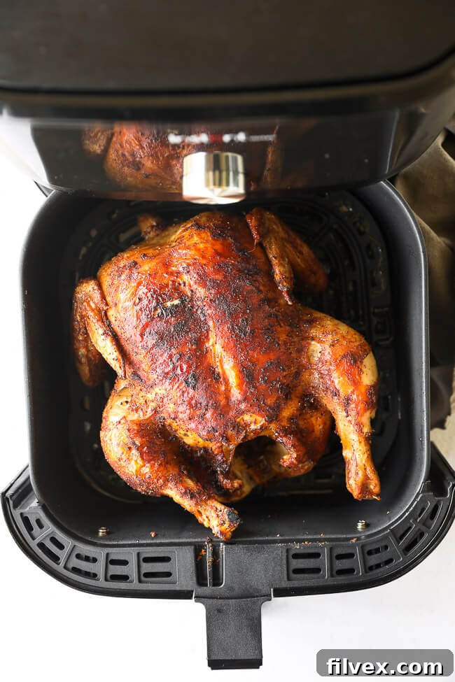 Overhead image of a whole chicken in an air fryer basket after it has finished cooking, showcasing its golden-brown crispiness.