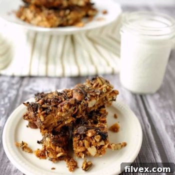 Delicious Paleo Fruit & Nut Granola Bars with chocolate drizzle.